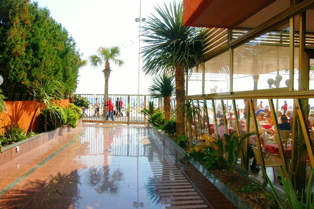 Apartamentos Torre Don Vicente - Arca Rent Бенідорм Екстер'єр фото
